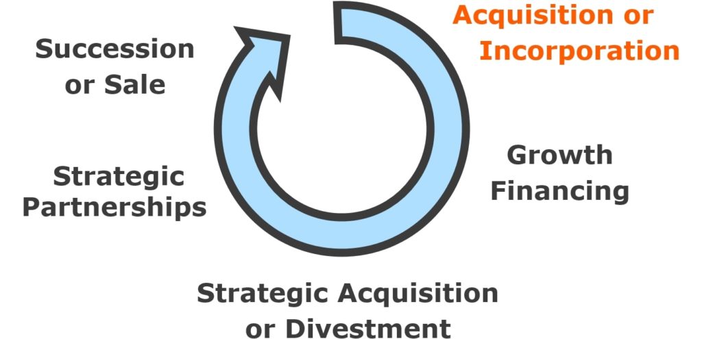 Business Lifecycle: Acquisition or Incorporation