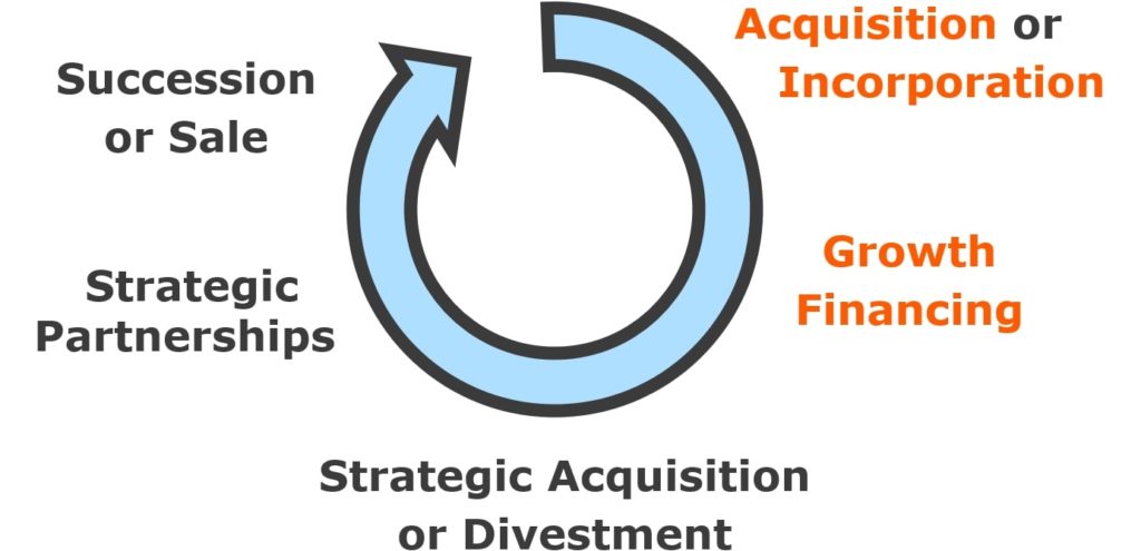 Business Lifecycle: Growth Financing