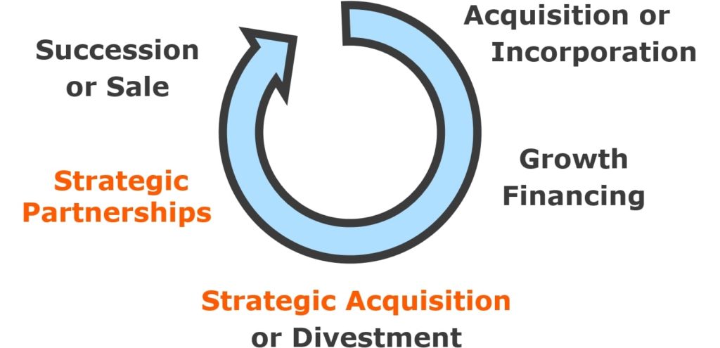 Business Lifecycle: Partnerships and Acquisition