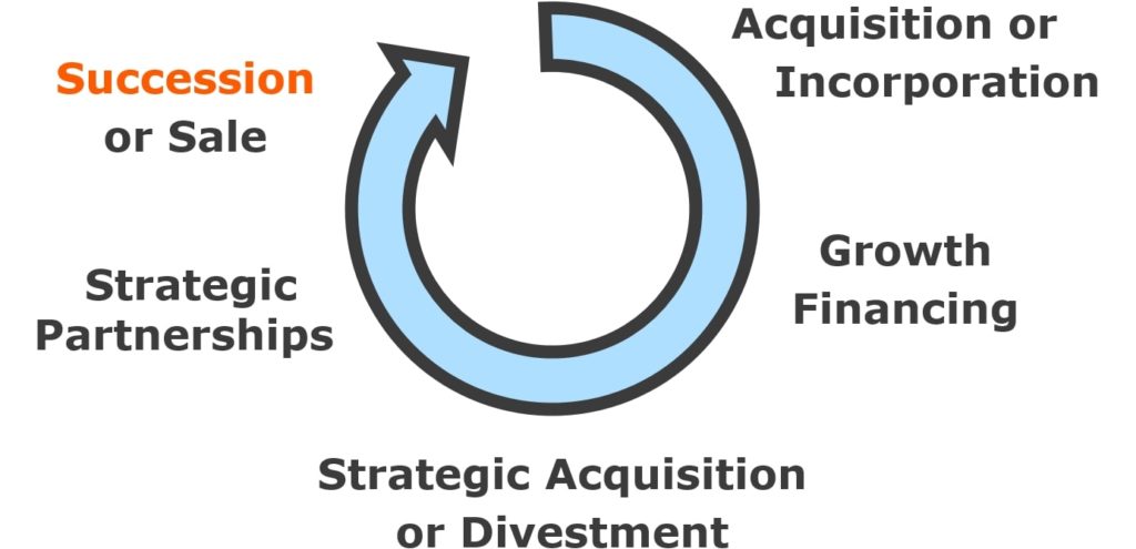 Business Lifecycle: Succession