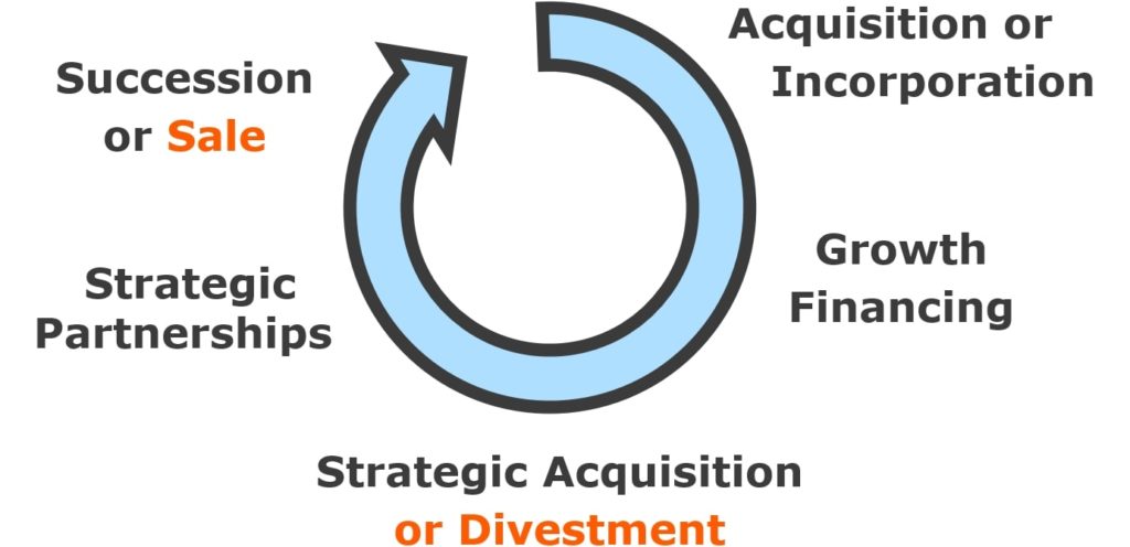 Business Lifecycle: Sale or Divestment
